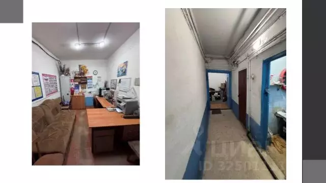 Помещение свободного назначения в Новосибирская область, Новосибирск ... - Фото 1