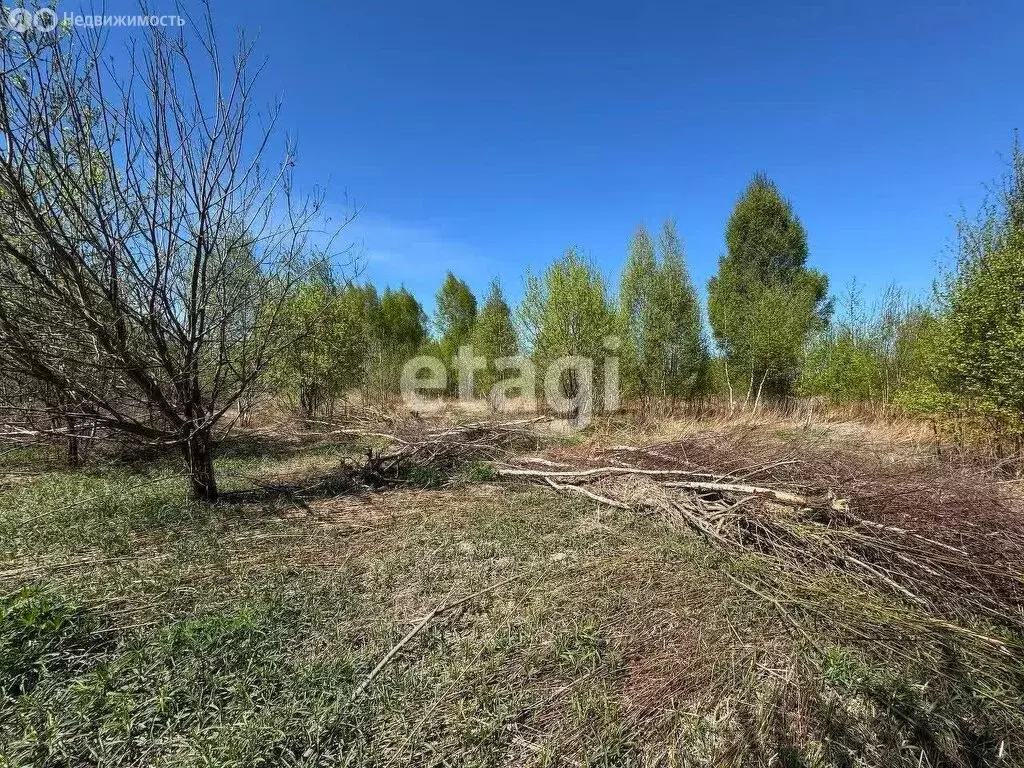 Участок в посёлок Дорожный, Ясная улица (7.55 м) - Фото 1