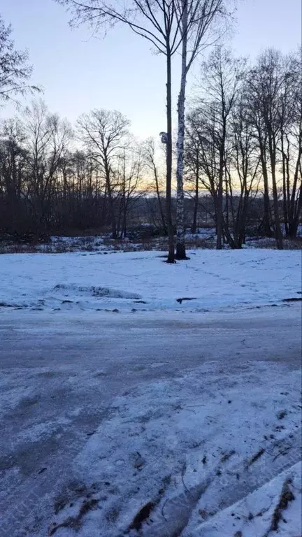 Участок в Московская область, Ступино городской округ, д. Хирино ул. ... - Фото 0