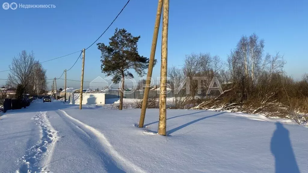 Участок в Тюмень, СНТ Салют (9.3 м) - Фото 1