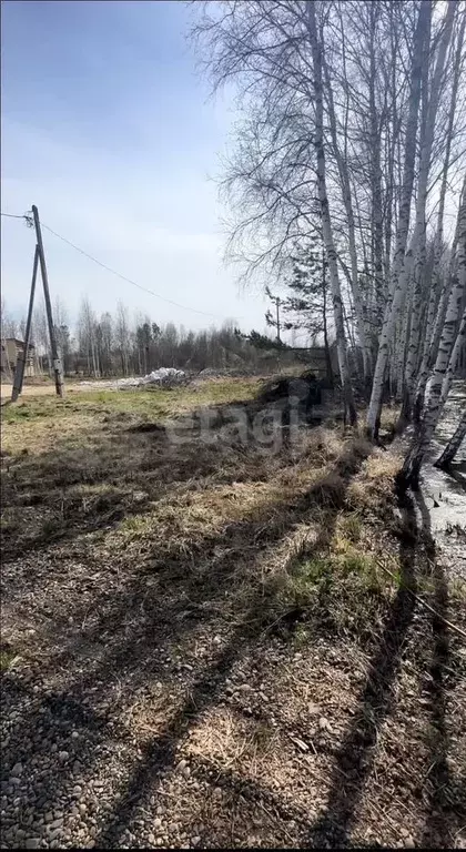 Участок 12 сот. (СНТ, ДНП) - Фото 0