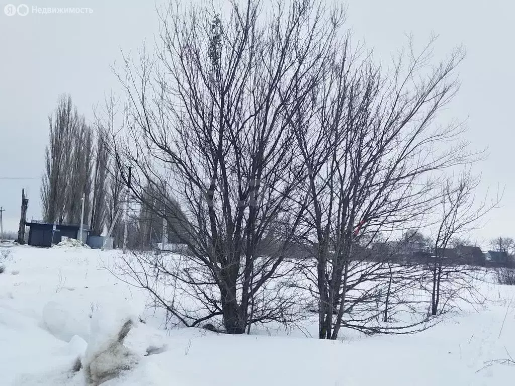 Участок в Воронеж, Левобережный район (6 м) - Фото 2