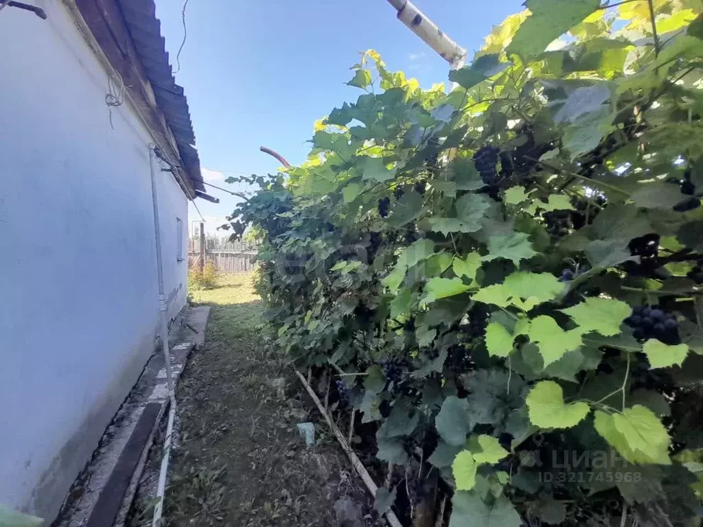 Дом в Оренбургская область, Саракташский район, Черноотрожский ... - Фото 1