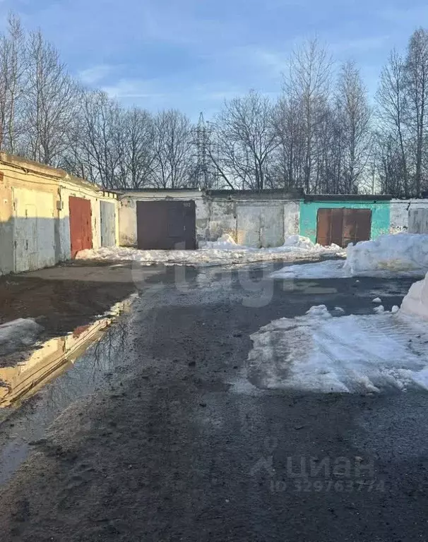 Гараж в Тюменская область, Тобольск Биолог СНТ, ул. Дачная, 6 (21 м) - Фото 2