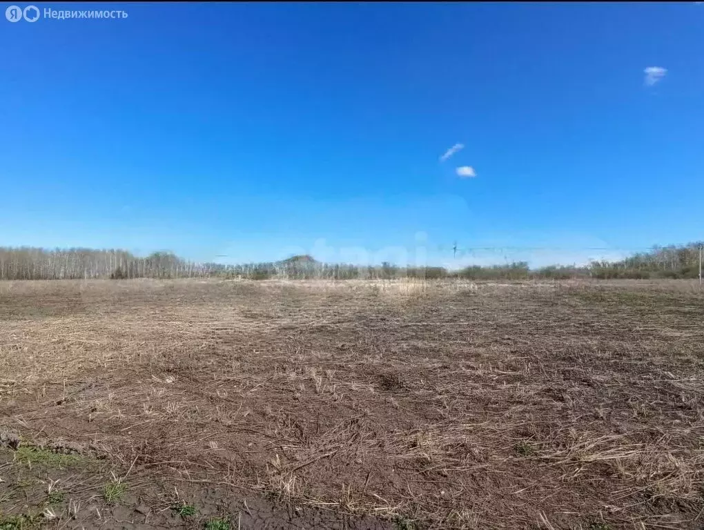 Участок в село Горьковка, Совхозная улица (7 м) - Фото 1