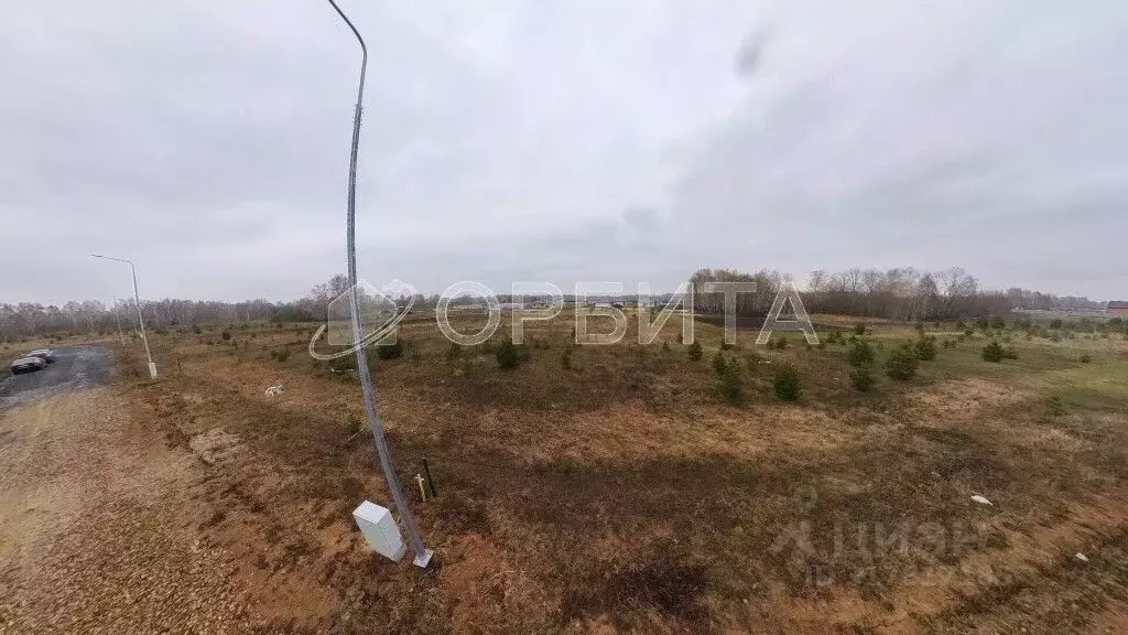 Участок в Тюменская область, Тюменский район, Новокаменский кп ул. ... - Фото 1
