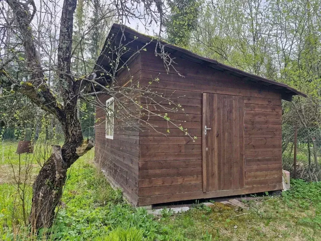 Дом в Ленинградская область, Лужский район, Мшинское с/пос, Мшинская ... - Фото 2