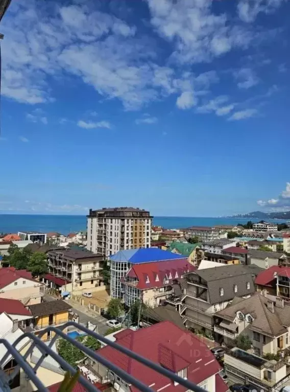 Студия Краснодарский край, Сочи Адлер жилрайон, ул. Чкалова, 13 (25.0 ... - Фото 1