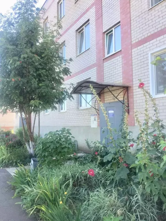 Студия Оренбургская область, Оренбургский район, с. Нежинка ул. Мира, ... - Фото 1