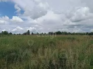 Участок в Свердловская область, Талица ул. Луначарского (11.0 сот.) - Фото 1