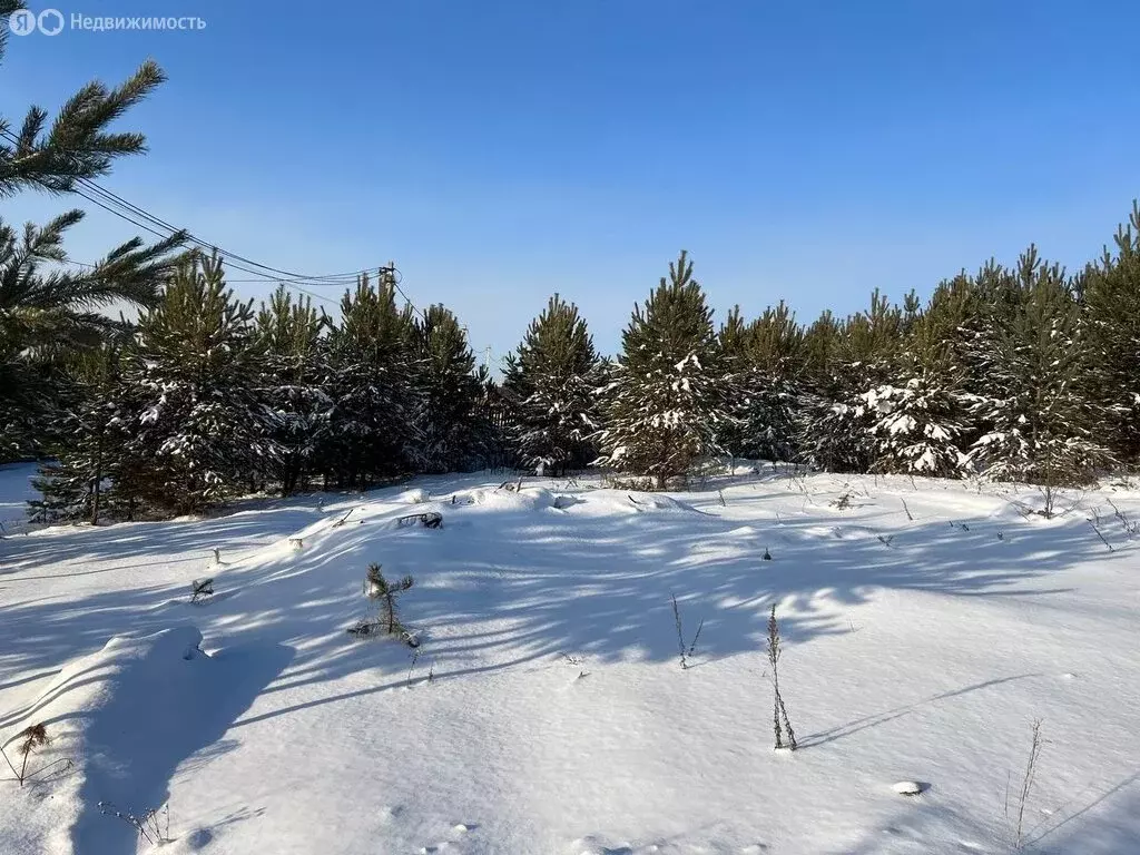 Участок в село Максимовщина, Таёжная улица, 40 (11 м) - Фото 2