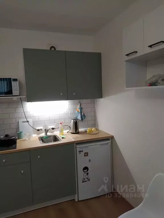 Студия Санкт-Петербург Усть-Славянка тер., просп. Советский, 2 (23.3 ... - Фото 2