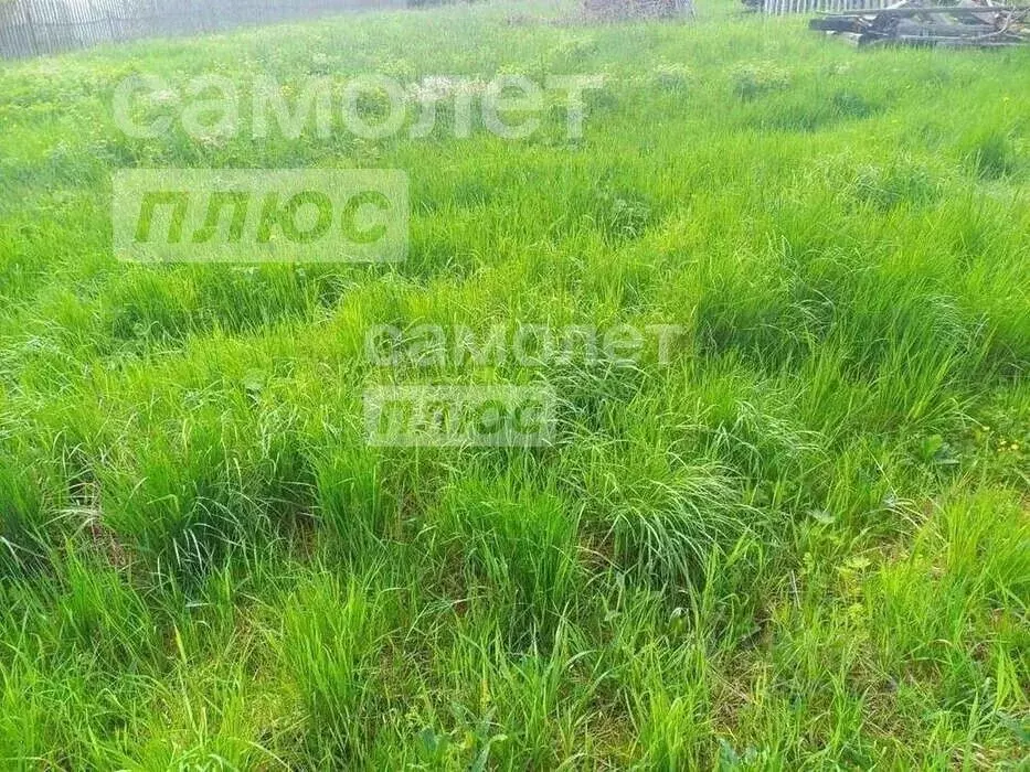 Участок в Вологодская область, д. Елгино  (8.1 сот.) - Фото 2