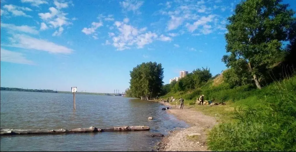 Участок в Новосибирская область, Новосибирский район, Мичуринский ... - Фото 1