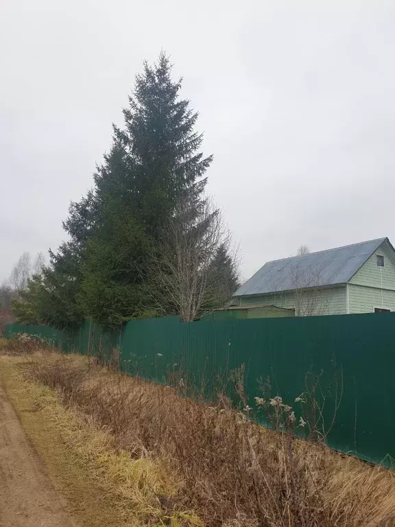 Участок в Московская область, Волоколамский муниципальный округ, ... - Фото 2