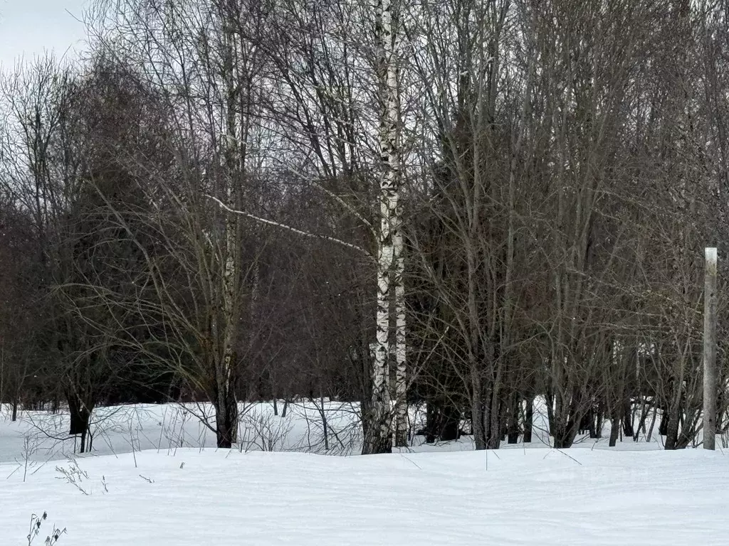 Участок в Московская область, Солнечногорск городской округ, д. ... - Фото 2