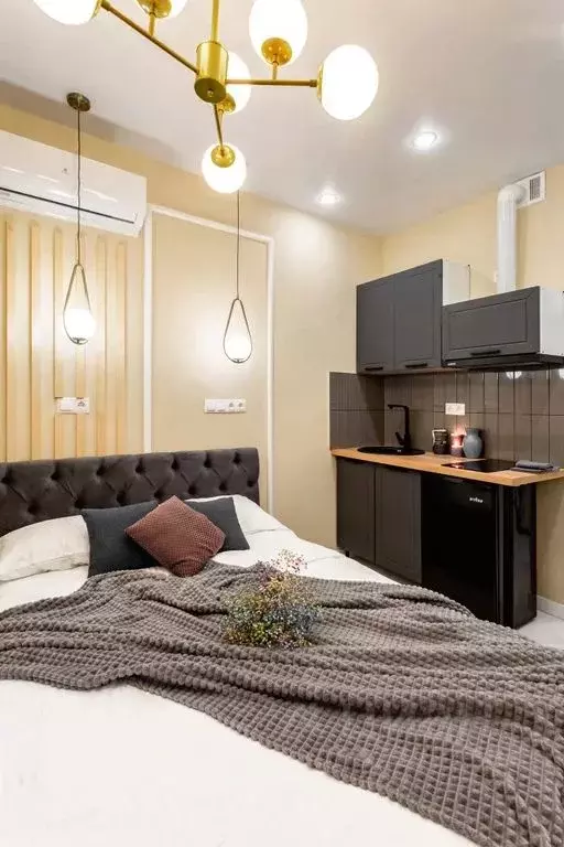 Студия Московская область, Одинцово ул. Сколковская, 9Б (12.0 м) - Фото 2