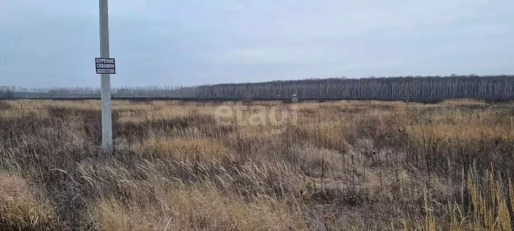 участок в воронежская область, с. новая усмань ул. минина (10.0 сот.) - Фото 1