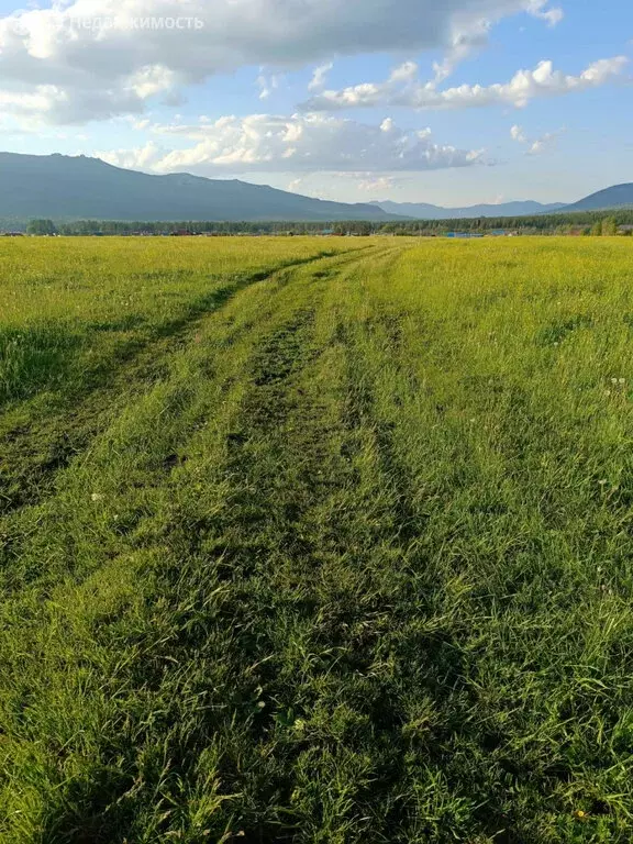 Участок в село Тюлюк, улица Карла Маркса (25 м) - Фото 1