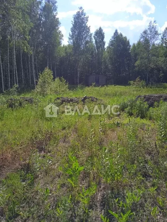 Участок в Тамбовская область, Тамбов городской округ, пос. Тригуляй ... - Фото 0