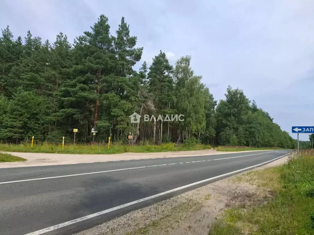 Участок в Владимирская область, Собинский муниципальный округ, д. ... - Фото 2