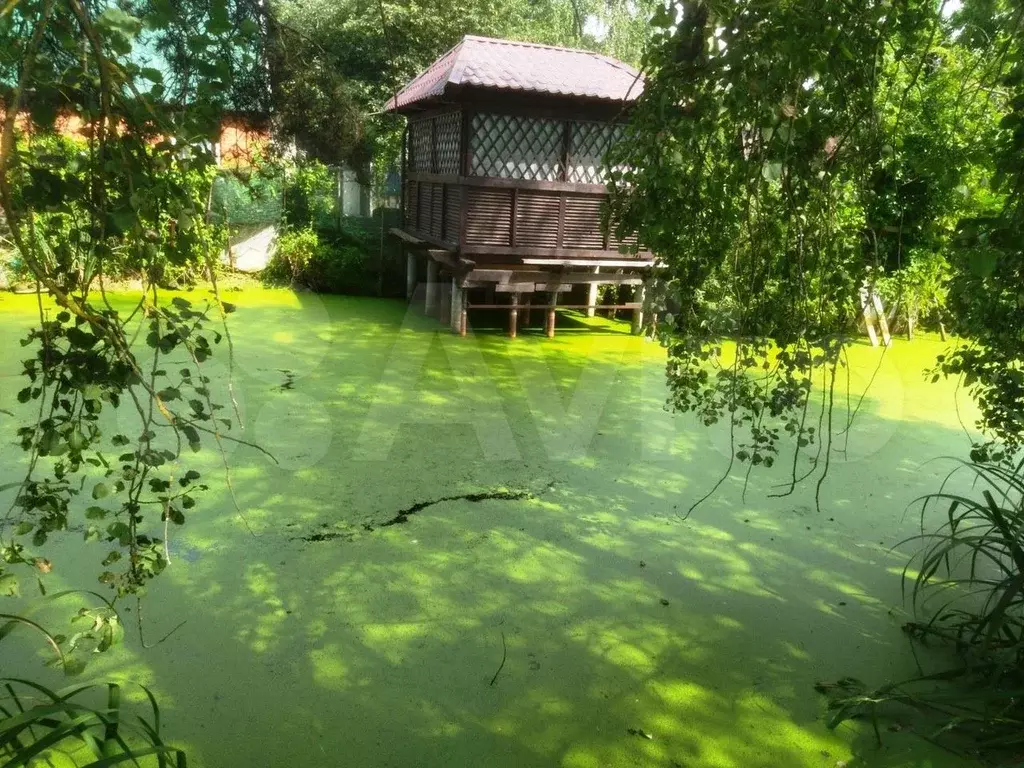 Участок 4,6 сот. (СНТ, ДНП) - Фото 0