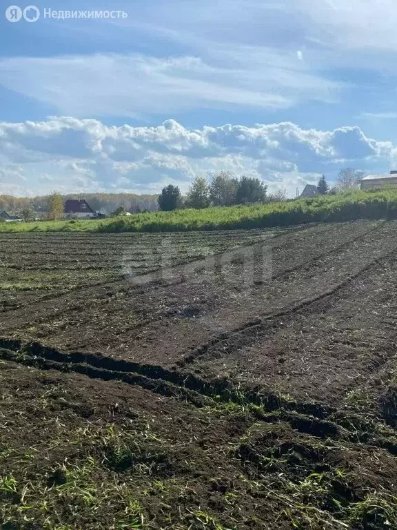 Участок в село Барлак, Дачная улица (7.8 м) - Фото 2