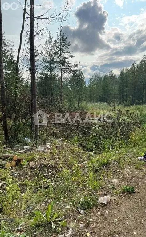 Участок в Ленинградская область, Всеволожское городское поселение, ... - Фото 1