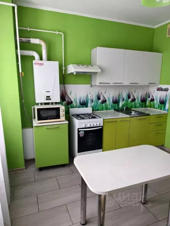 2-к кв. Московская область, Истра муниципальный округ, д. Черная ул. ... - Фото 1