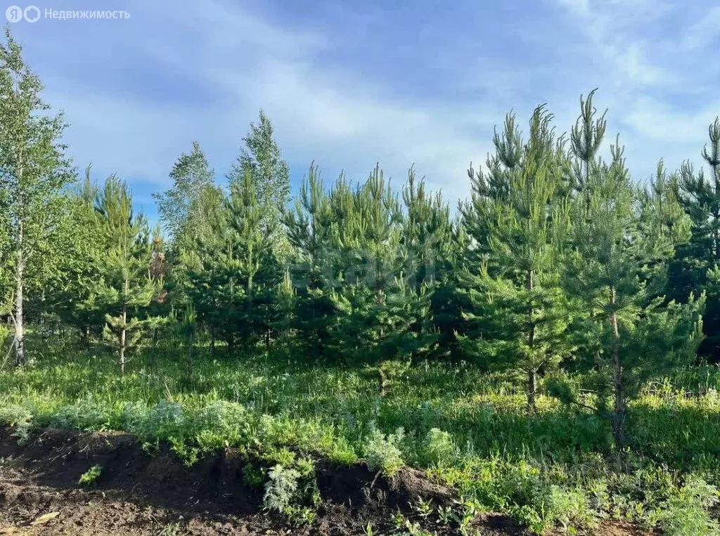 Участок в село Черноусово, Лесная улица (10 м) - Фото 2