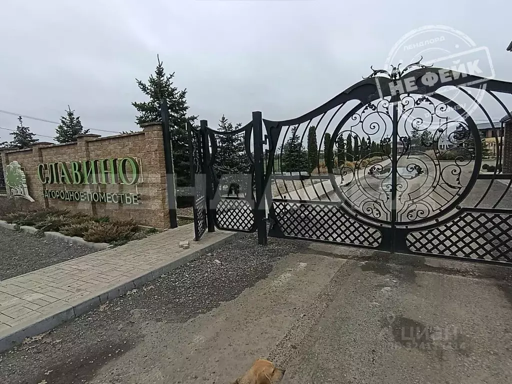 Участок в Ростовская область, Аксайский район, Ольгинское с/пос, ... - Фото 1