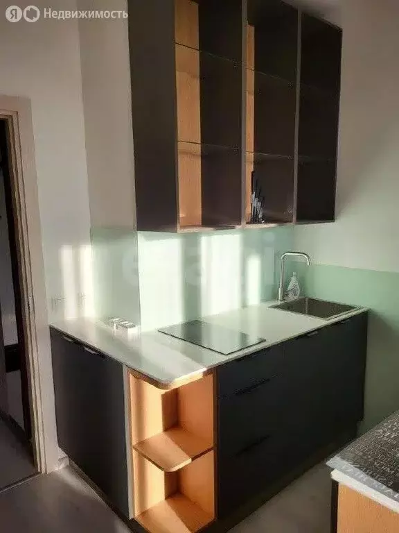 Квартира-студия: Санкт-Петербург, Арцеуловская аллея, 21 (24.7 м) - Фото 2