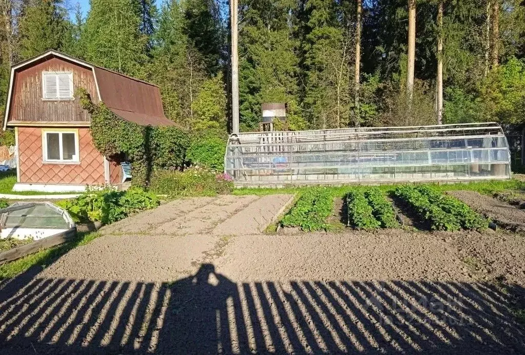 Дом в Кировская область, Кирово-Чепецкий район, Федяковское с/пос, ... - Фото 2