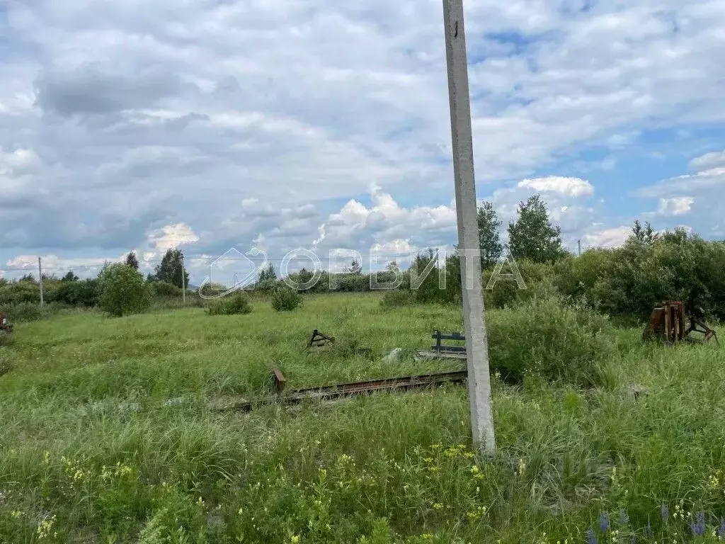 Участок в Тюменская область, Тюменский муниципальный округ, пос. ... - Фото 2