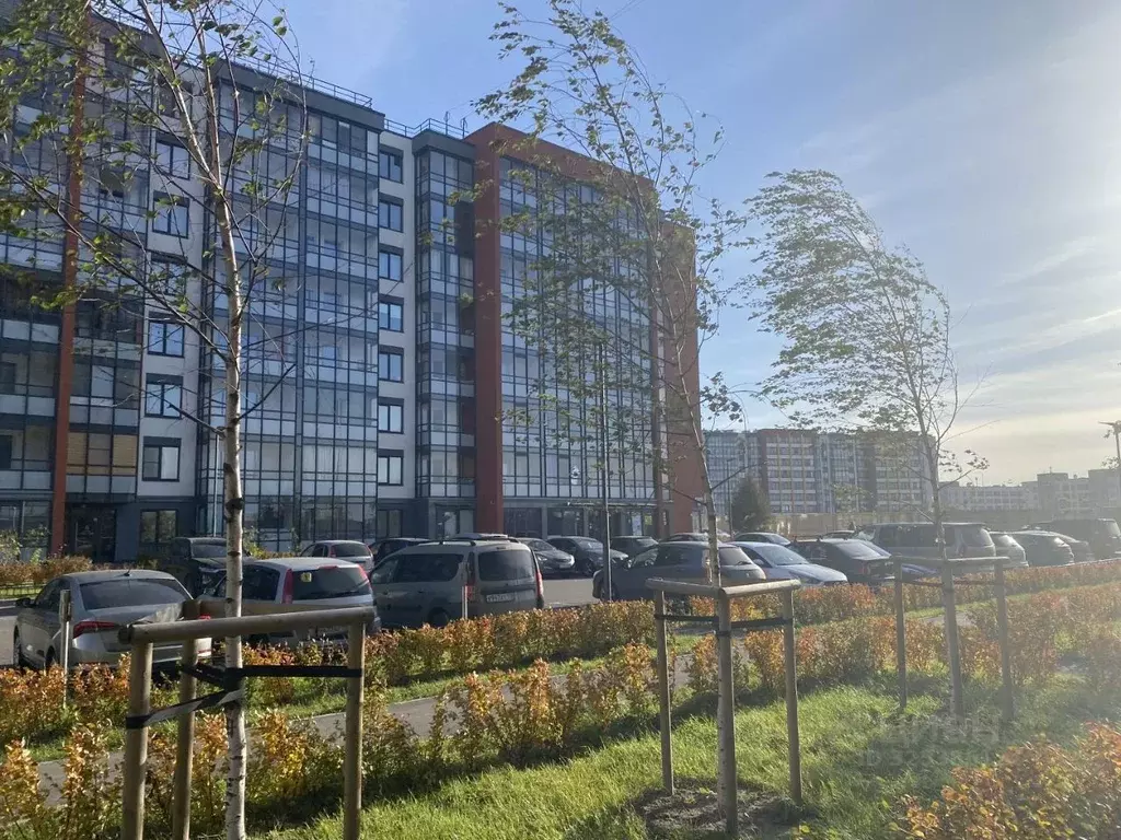 Помещение свободного назначения в Санкт-Петербург просп. Буденного, ... - Фото 2