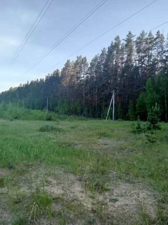 Участок в Нижегородская область, Лысковский район, с. Нижний Красный ... - Фото 1