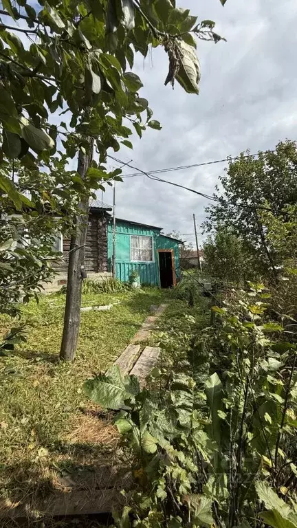 Дом в Алтай, Майминский район, с. Верх-Карагуж  (60 м) - Фото 1