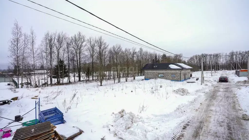 Участок в Ленинградская область, Ломоносовский район, Пениковское ... - Фото 1