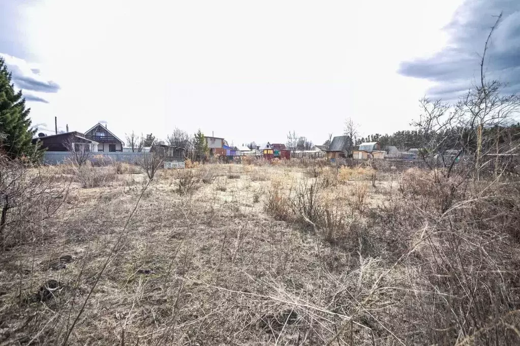 Участок в Новосибирская область, Бердск Вега-3 СНТ, 529 (5.1 сот.) - Фото 0