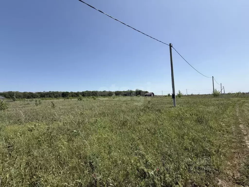 Участок в Белгородская область, Белгород ул. Ивана Кондратенко (16.0 ... - Фото 1