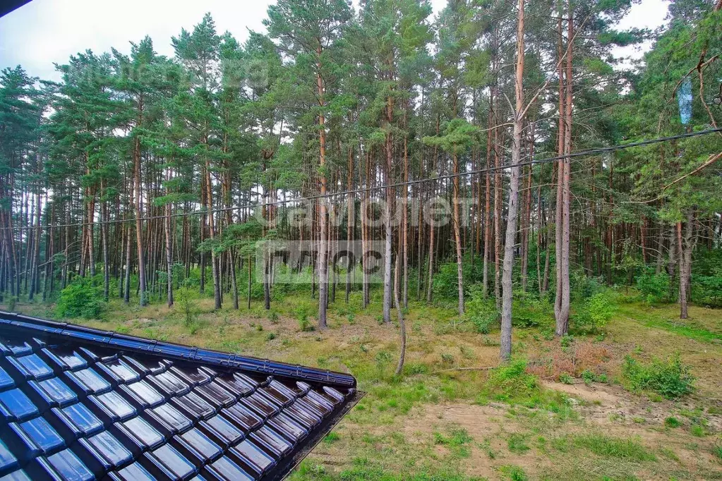 Участок в Калининградская область, Ладушкин Молодежная ул. (8.0 сот.) - Фото 1