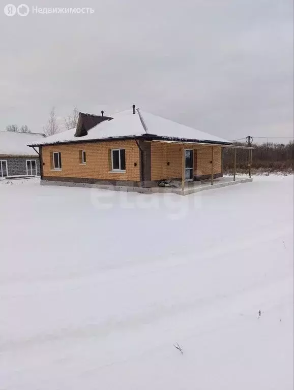 Дом в Амурская область, Благовещенский муниципальный округ, село ... - Фото 2