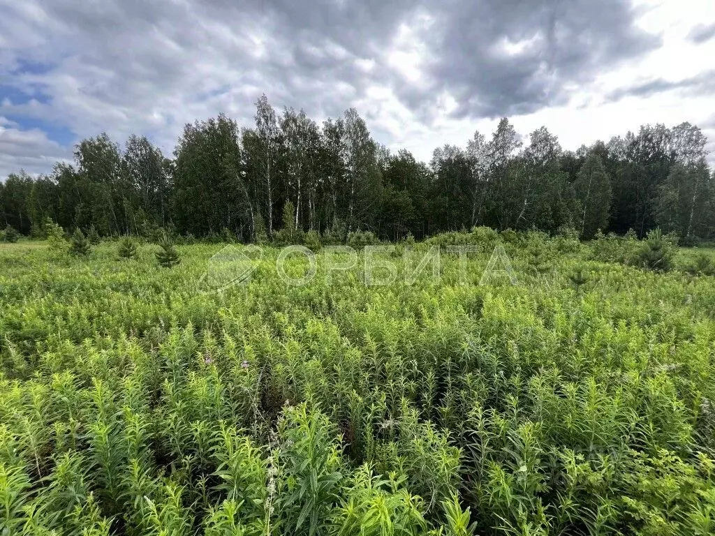 Участок в Тюменская область, Тюменский район, с. Кулига, Кулига-2 мкр  ... - Фото 0