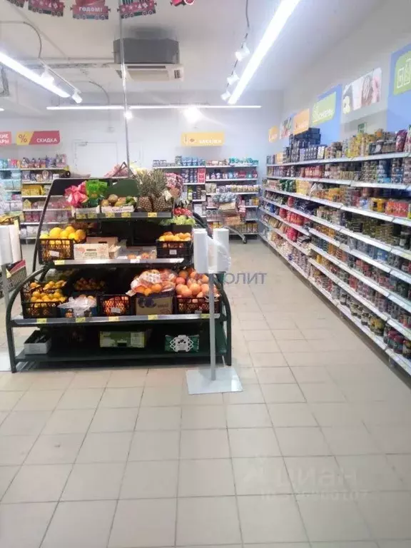 Помещение свободного назначения в Нижегородская область, Шахунья ул. ... - Фото 1