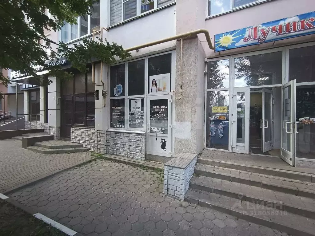 Торговая площадь в Белгородская область, Белгород ул. Щорса, 57 (82 м) - Фото 2