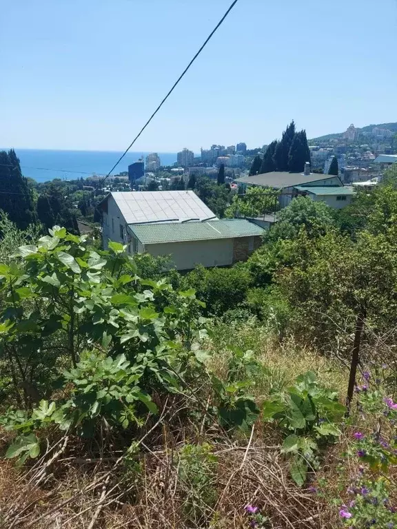 Участок в Крым, Ялта ул. Войкова, 12 (6.0 сот.) - Фото 1