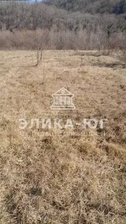 Участок в Краснодарский край, Туапсинский муниципальный округ, с. Бжид ... - Фото 1