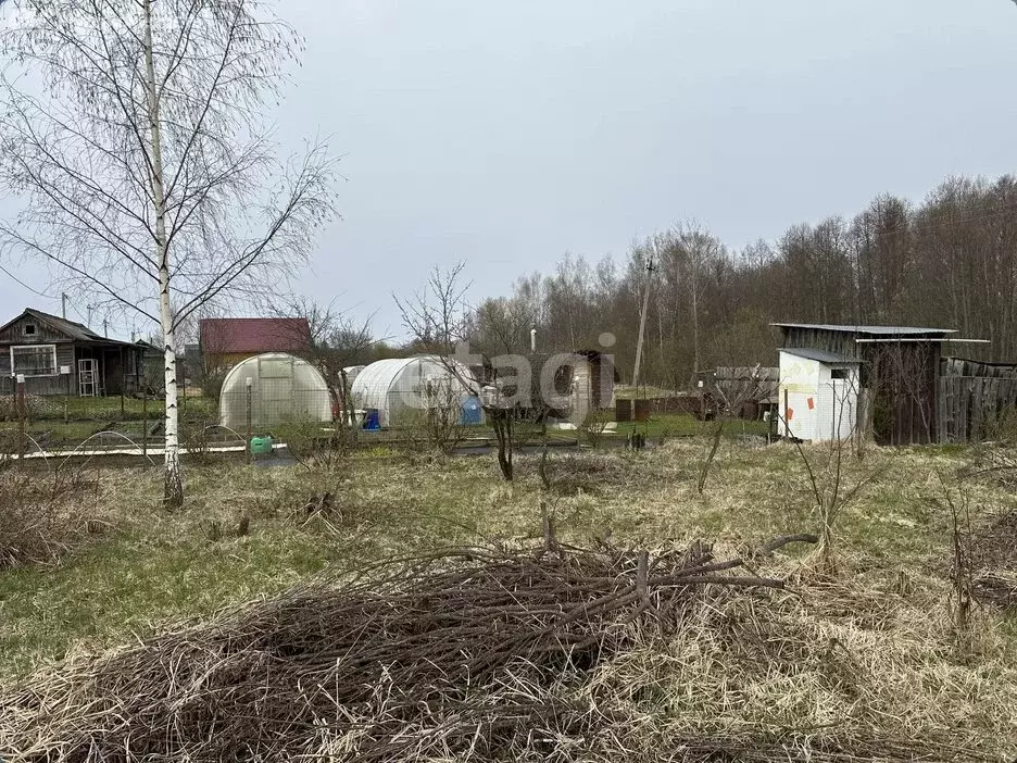 Участок в Кострома, СНТ Майский (6 м) - Фото 1