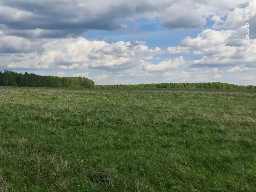 Участок в Московская область, Ступино городской округ, д. Савино  ... - Фото 0
