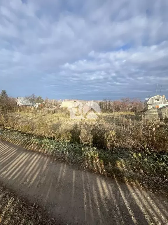 Участок в Новосибирская область, Мошковский район, Галантерейщик ... - Фото 2